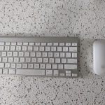 DE2AA117-7A0E-4EBB-A08D-FE2AE41268C1