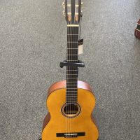 Z - Valencia Classical VC204