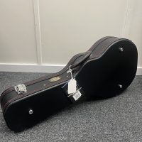 Mandolin case